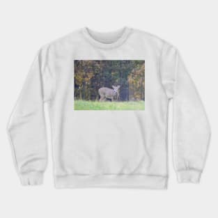 Deer Crewneck Sweatshirt